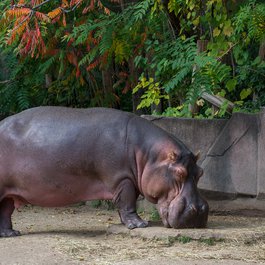 Milwaukee County Zoo, Milwaukee Photo #8 by Jim Bauer from flickr