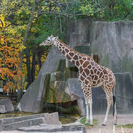 Wisconsin itinerary, Milwaukee County Zoo