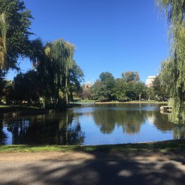 Boston Common, Boston Photo #3 by Richard Eriksson from flickr
