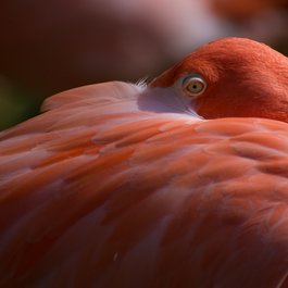 Milwaukee County Zoo, Milwaukee Photo #2 by Jim Bauer from flickr