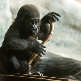 Milwaukee County Zoo, Milwaukee Photo #4 by Jim Bauer from flickr