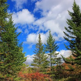 Pocono Mountains, Pennsylvania Photo #7 by Nicholas_T from flickr