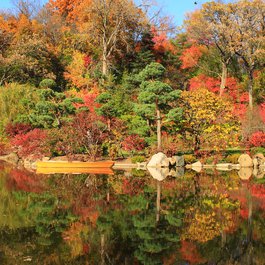 Anderson Japanese Gardens, Rockford Photo #3 by gabe popa from flickr