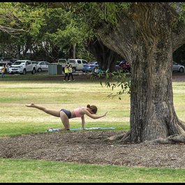 New Farm Park, Brisbane Photo #7 by John from flickr