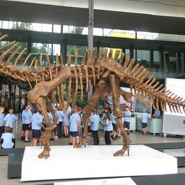Melbourne Museum, Melbourne Photo #9 by Jeffrey from flickr