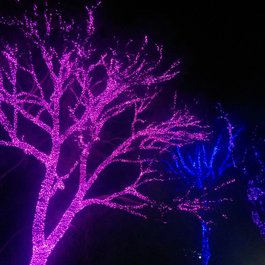 Phoenix Zoo, Tempe Photo #9 by Nick Bastian from flickr