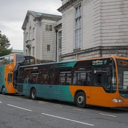 Cathays Park, Cardiff Photo #3 by Jeremy Segrott from flickr
