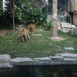 Shenzhen Safari Park, Shenzhen Photo #2 by Martin Lewison from flickr