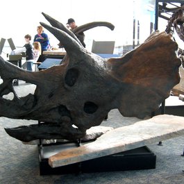 Maryland Science Center, Baltimore Photo #8 by -ted from flickr