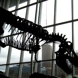 Maryland Science Center, Baltimore Photo #7 by -ted from flickr