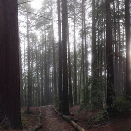 Joaquin Miller Park, Oakland Photo #2 by Nick Doty from flickr