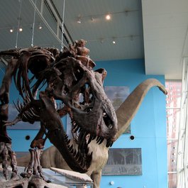 Maryland Science Center, Baltimore Photo #4 by -ted from flickr