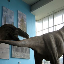 Maryland Science Center, Baltimore Photo #1 by -ted from flickr