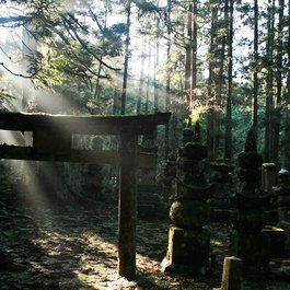 Koya, Wakayama Photo #9 by ccharmon from flickr