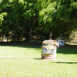 Tjapukai Aboriginal Cultural Park, Cairns Photo #6 by Michael Zimmer from flickr