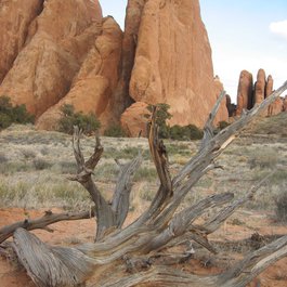 Sand Dune Arch, Arches National Park Photo #4 by Ken Lund from flickr