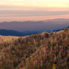 Newfound Gap, Gatlinburg Photo #4 by Gary Millar from flickr