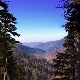Newfound Gap, Gatlinburg Photo #2 by Gary Millar from flickr