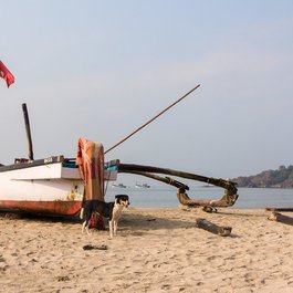 Palolem Beach, Goa Photo #6 by Alexey Komarov from flickr