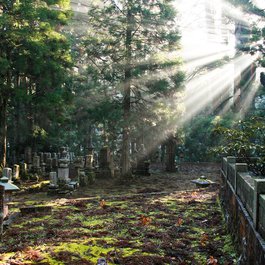 Koya, Wakayama Photo #7 by ccharmon from flickr