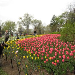 Ottawa itinerary, Commissioners Park