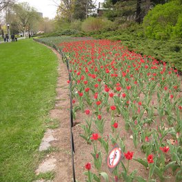 Commissioners Park, Ottawa Photo #3 by elPadawan from flickr