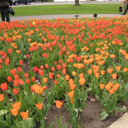 Commissioners Park, Ottawa Photo #9 by elPadawan from flickr