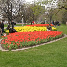Commissioners Park, Ottawa Photo #4 by elPadawan from flickr