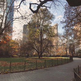 Madison Square Park, New York Photo #6 by Jeffrey Zeldman from flickr