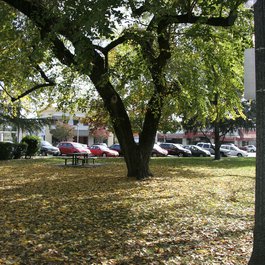Sonoma Plaza, Santa Rosa Photo #9 by mk97007 from flickr