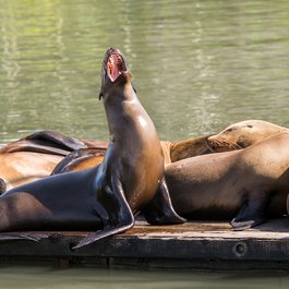 Moss Landing, Monterey Photo #3 by Don DeBold from flickr