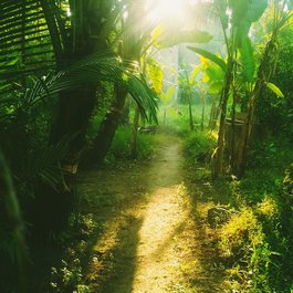 Kumarakom, Kerala Photo #6 by Tyrone Adams from flickr