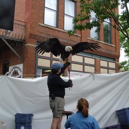 Old Colorado City, Colorado Springs Photo #8 by brian gautreau from flickr