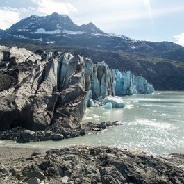 Lamplugh Glacier, Glacier Bay National Park Photo #6 by Matt Zimmerman from flickr