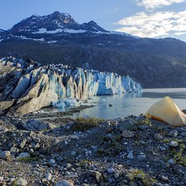 Lamplugh Glacier, Glacier Bay National Park Photo #9 by Matt Zimmerman from flickr