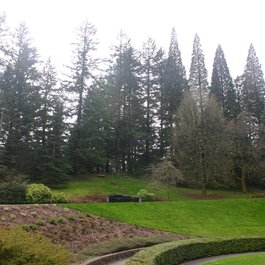 Hoyt Arboretum, Portland Photo #8 by jlh_lunasea from flickr