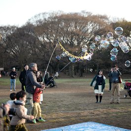 Yoyogi Park, Tokyo Photo #9 by Zengame from flickr