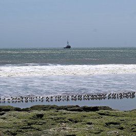 Drakes Beach, Santa Rosa Photo #2 by Mark Gunn from flickr