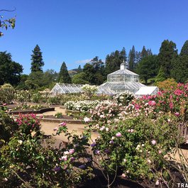 Dunedin Botanic Garden, Dunedin Photo #6 by Travolution360 from flickr