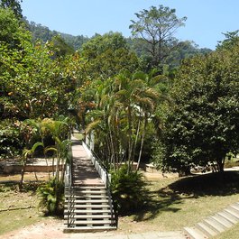 Penang Botanic Gardens, George Town Photo #5 by Dennis Sylvester Hurd from flickr