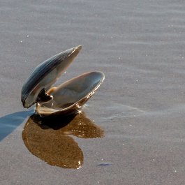 Popham Beach, Maine Photo #2 by Paul VanDerWerf from flickr