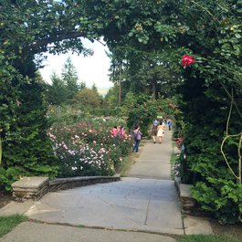 International Rose Test Garden, Portland Photo #9 by The Greater Southwestern Exploration Company from flickr