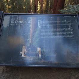 General Sherman Tree, Sequoia National Park Photo #4 by Ken Lund from flickr