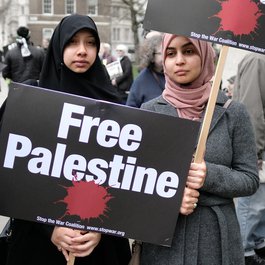 Gaza Strip, Israel Photo #5 by Alisdare Hickson from flickr