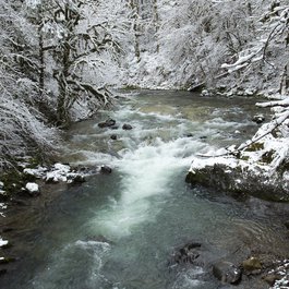 State Route 20, North Cascades National Park Photo #4 by Bonnie Moreland from flickr