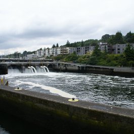 Hiram M Chittenden Locks, Seattle Photo #4 by David Baron from flickr