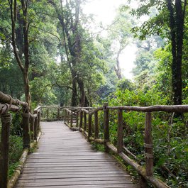 Doi Inthanon, Chiang Mai Photo #9 by Roman Nuritdinov from flickr