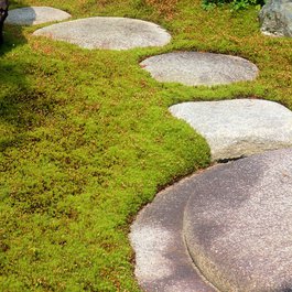 Koya, Wakayama Photo #6 by DocChewbacca from flickr