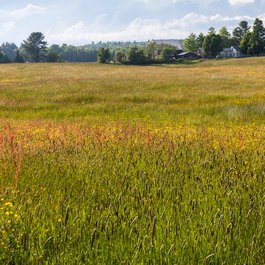 Brunswick, Maine Photo #6 by Paul VanDerWerf from flickr