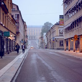 Carolina Rediviva, Uppsala Photo #4 by Nicola Sap De Mitri from flickr